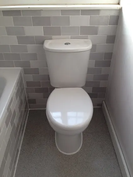plumbing toilet renovation